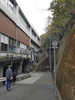 DSC_4486_thumb.png