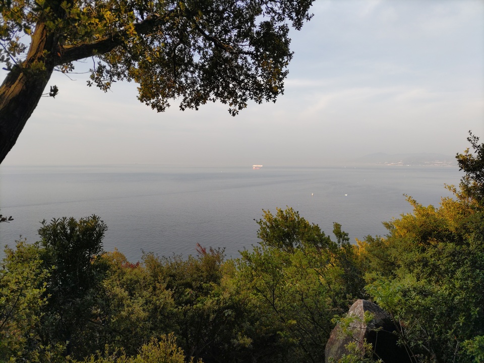 DSC_4516_mid.jpg
