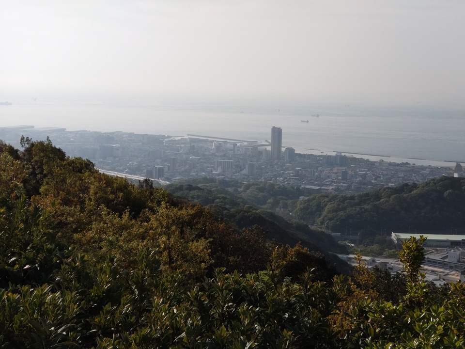 DSC_4528_mid.jpg