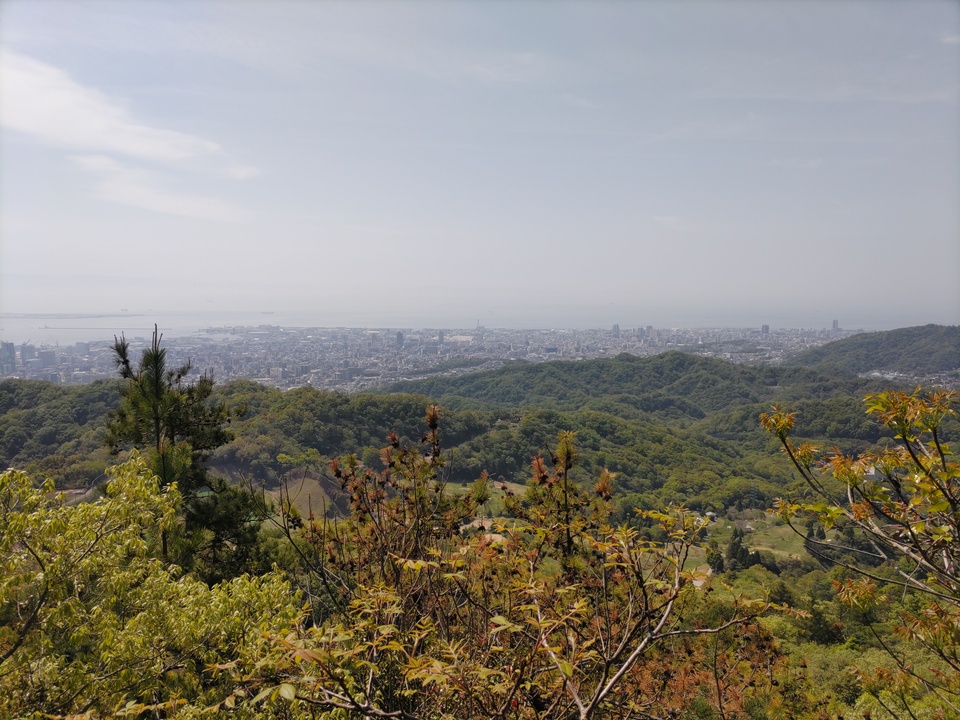 DSC_4559_mid.jpg