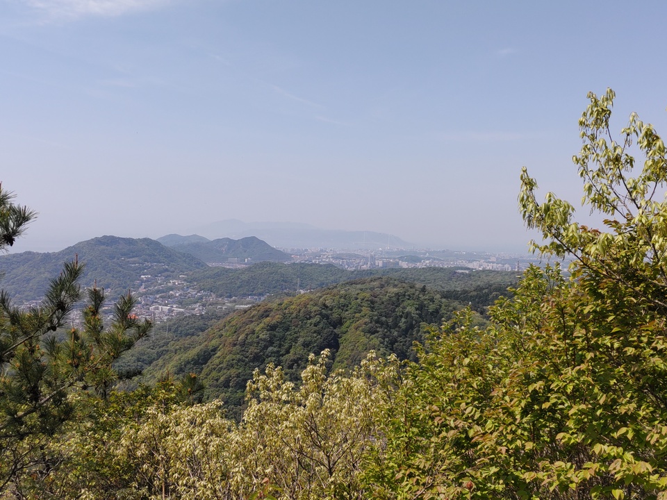 DSC_4564_mid.jpg