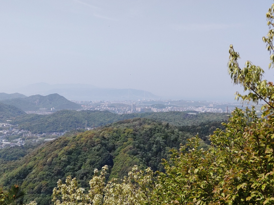 DSC_4565_mid.jpg
