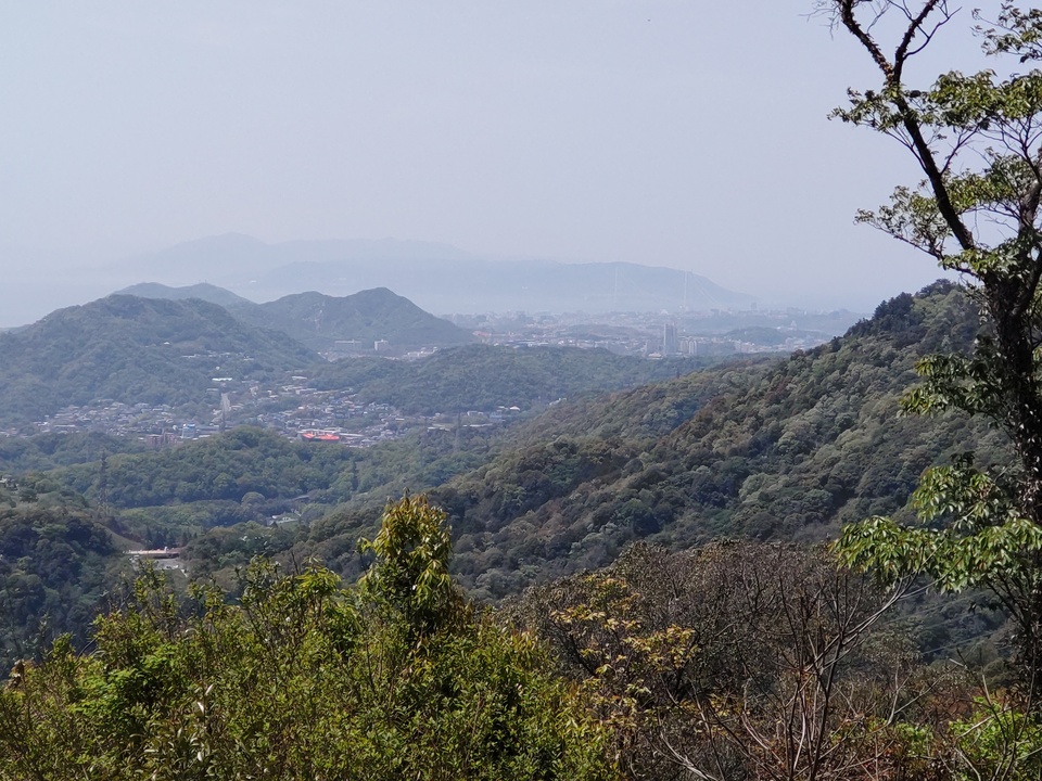 DSC_4573_mid.jpg