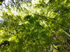 DSC_4577_thumb.png