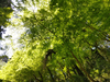 DSC_4580_thumb.png