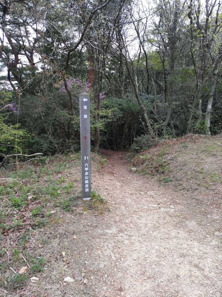 DSC_4586_mid.jpg