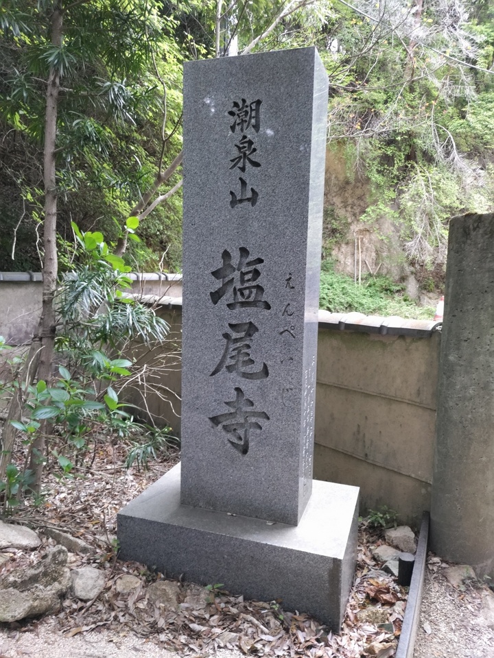 DSC_4597_mid.jpg