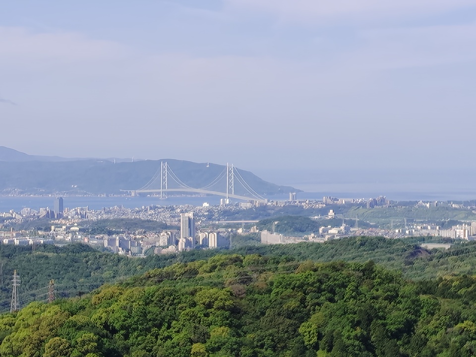 260505085819831_mid.jpg
