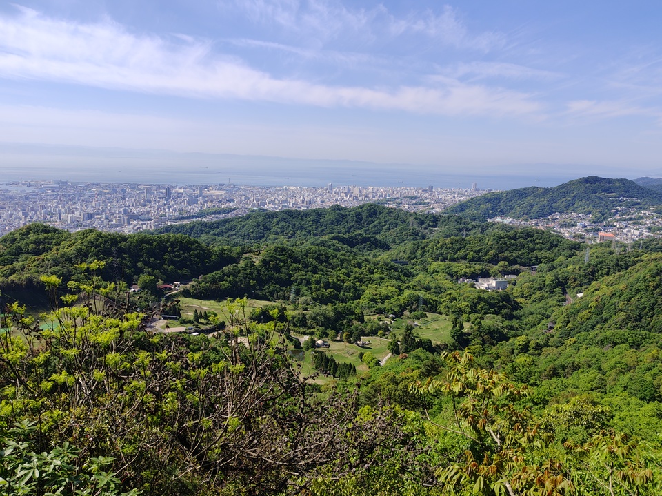 260505085829083_mid.jpg