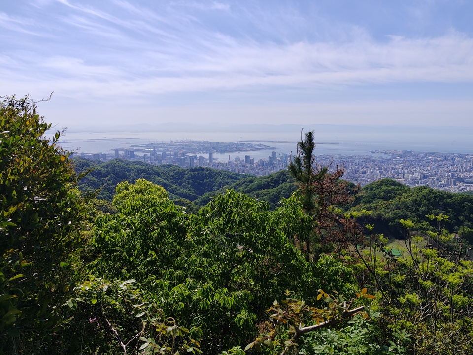260505085831663_mid.jpg