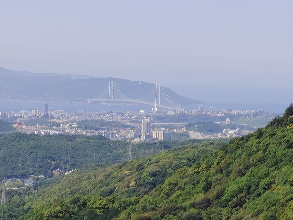 260505094214436_mid.jpg