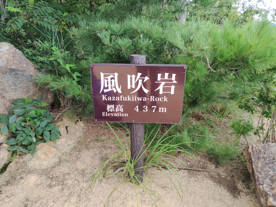 260719084757933_mid.jpg