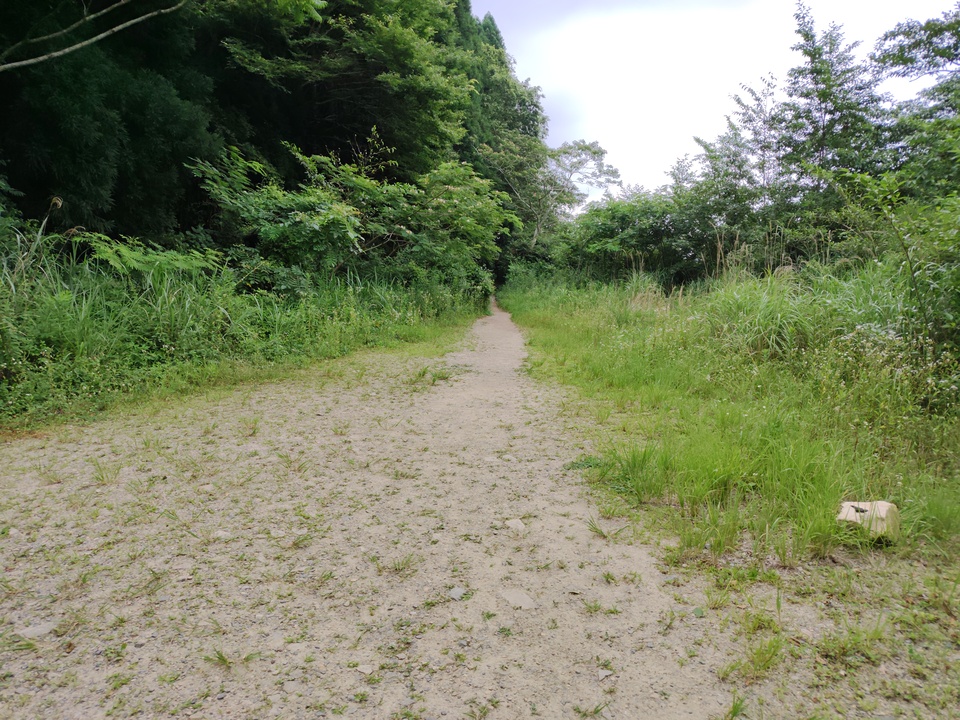 260719094007060_mid.jpg