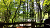 260719_120044_thumb.png