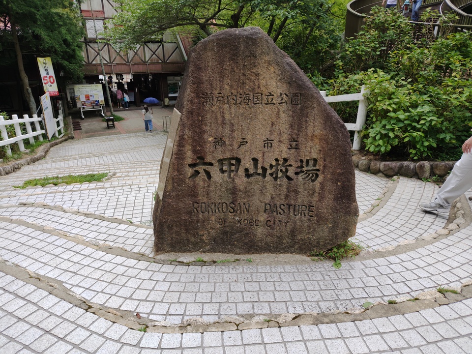 260816103535380_mid.jpg