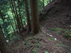 P5110899_thumb.png
