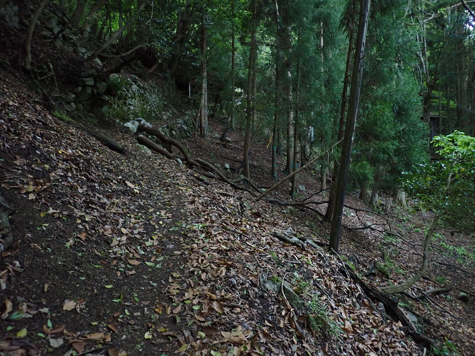 P5110901_mid.jpg