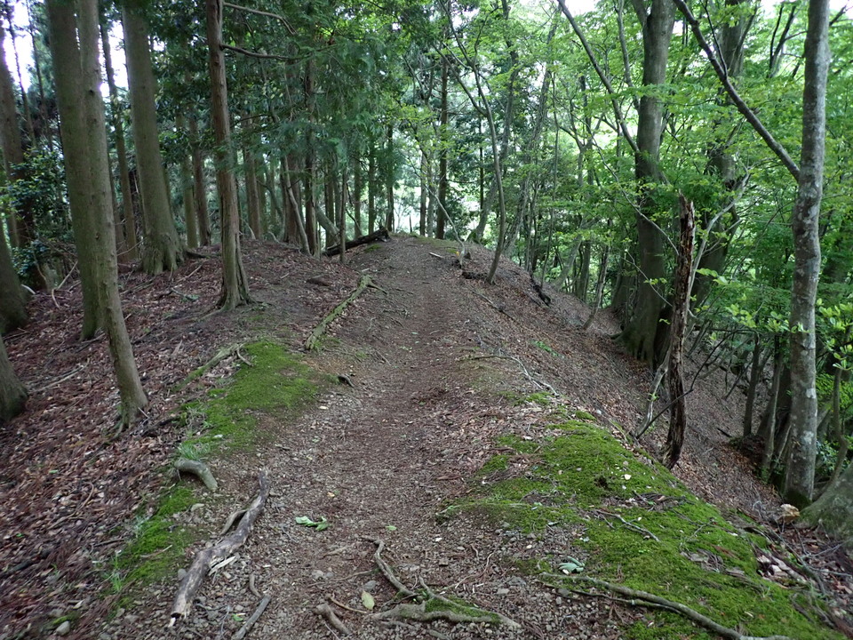 P5110919_mid.jpg