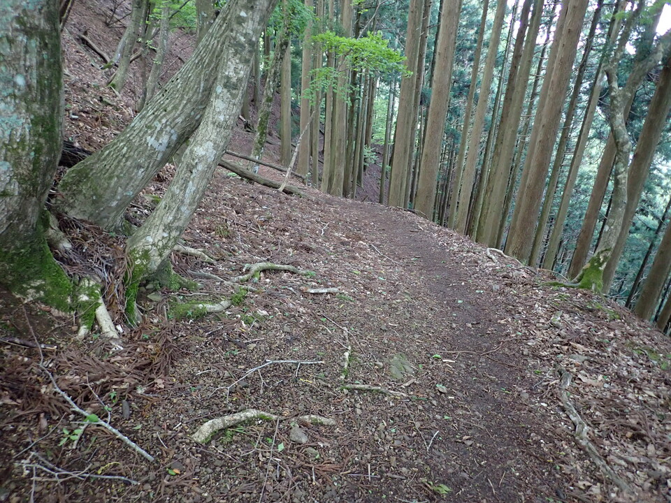 P5110943_mid.jpg