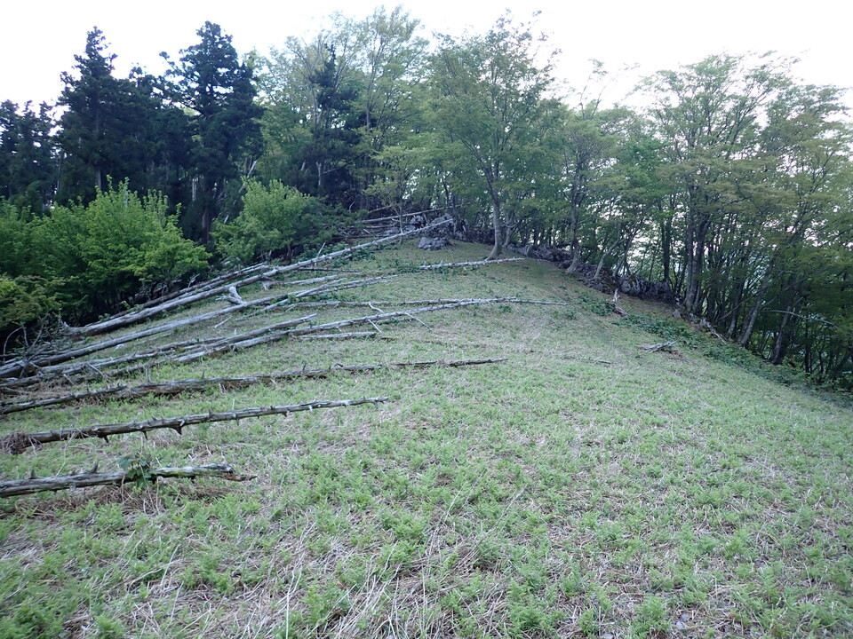 P5110963_mid.jpg