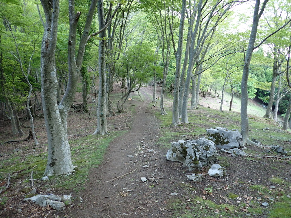P5110965_mid.jpg