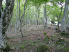 P5110975_thumb.png