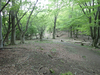 P5110979_thumb.png