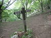 P5110989_thumb.png