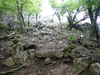 P5110993_thumb.png