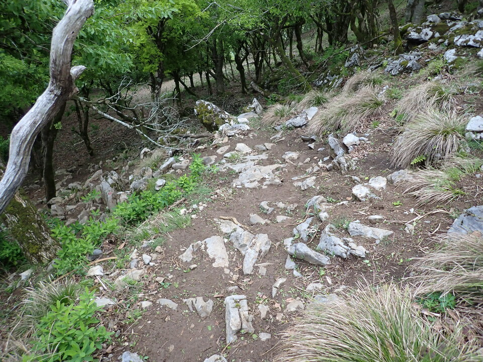 P5110998_mid.jpg