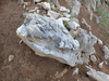 P5111006_thumb.png