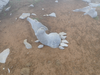 P5111075_thumb.png