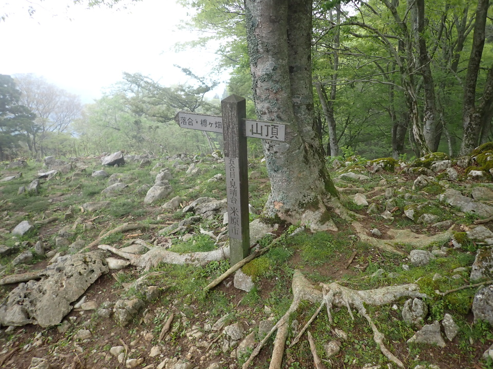 P5111146_mid.jpg
