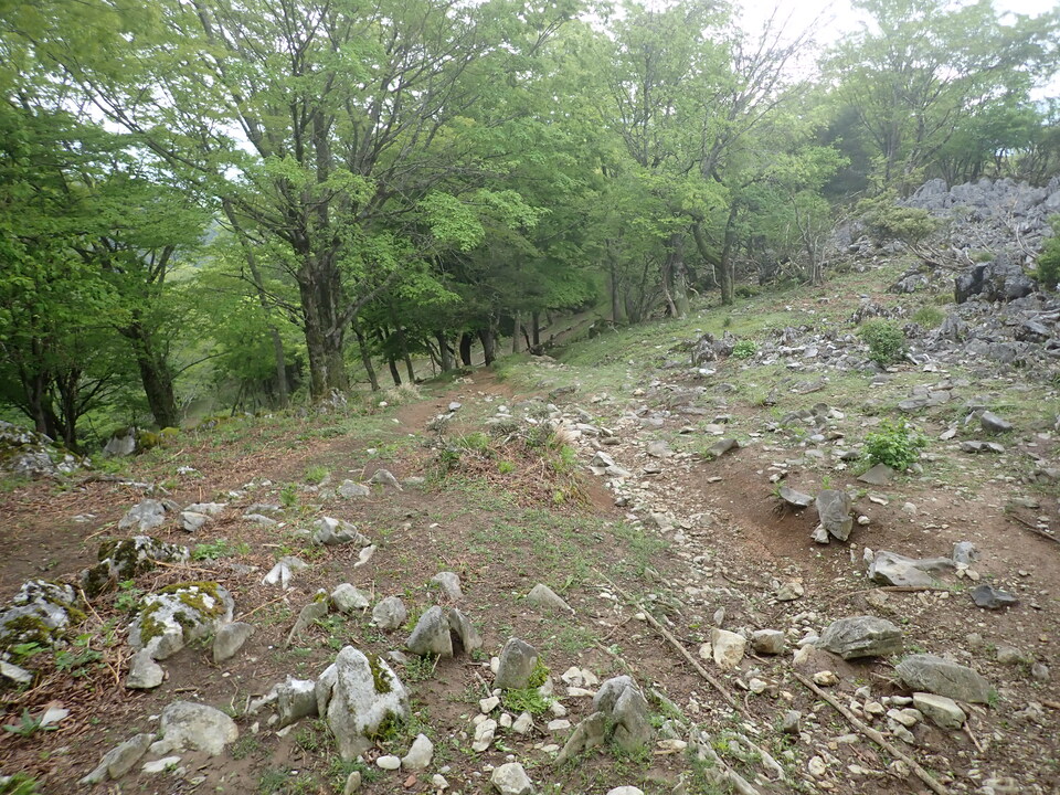 P5111148_mid.jpg