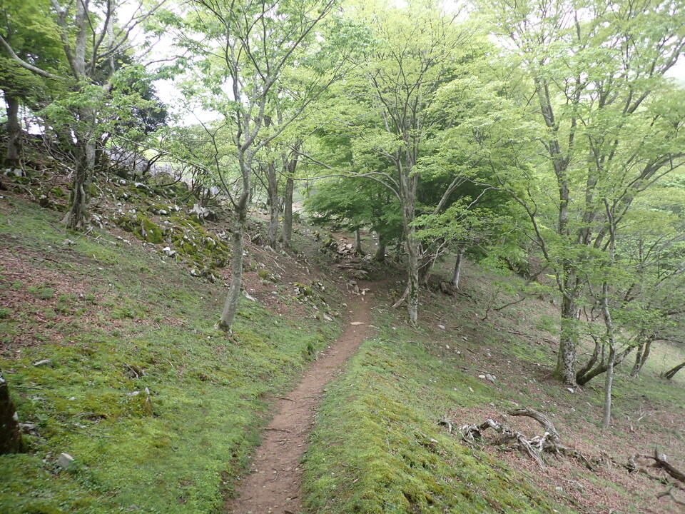 P5111154_mid.jpg