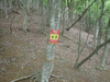 P5111156_thumb.png
