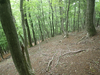 P5111158_thumb.png