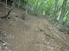 P5111161_thumb.png