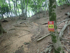 P5111163_thumb.png
