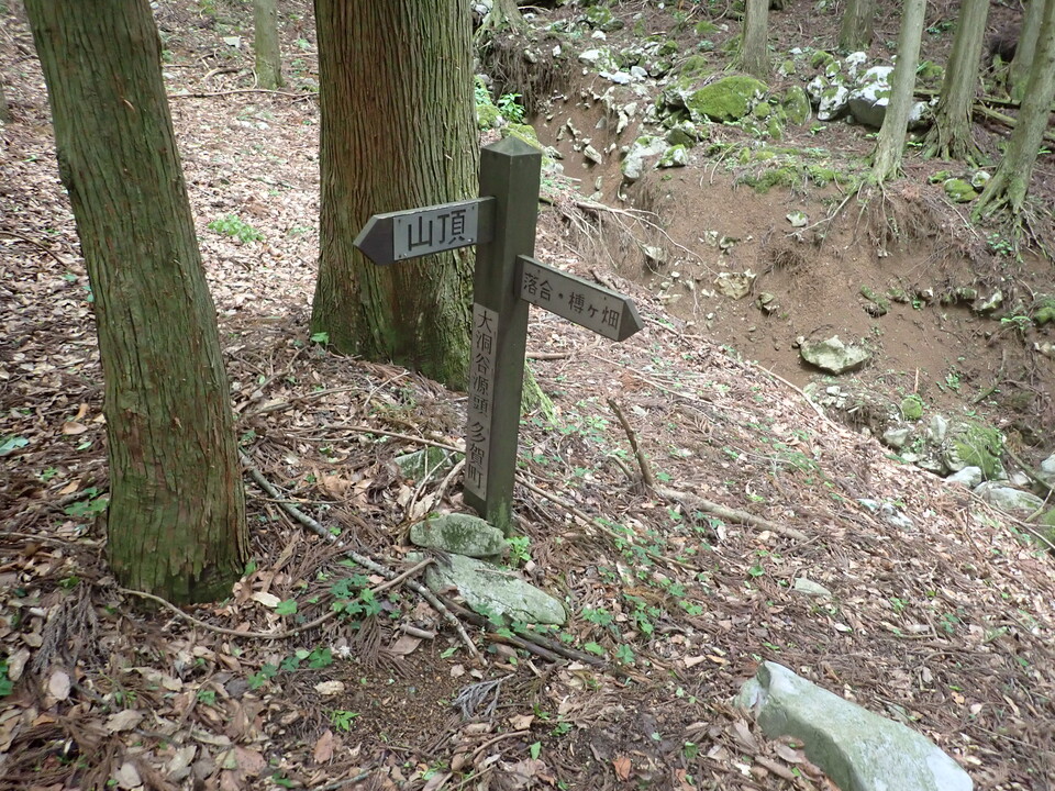 P5111166_mid.jpg