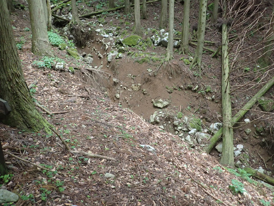 P5111167_mid.jpg