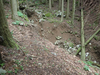 P5111167_thumb.png