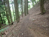 P5111168_thumb.png