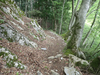 P5111174_thumb.png