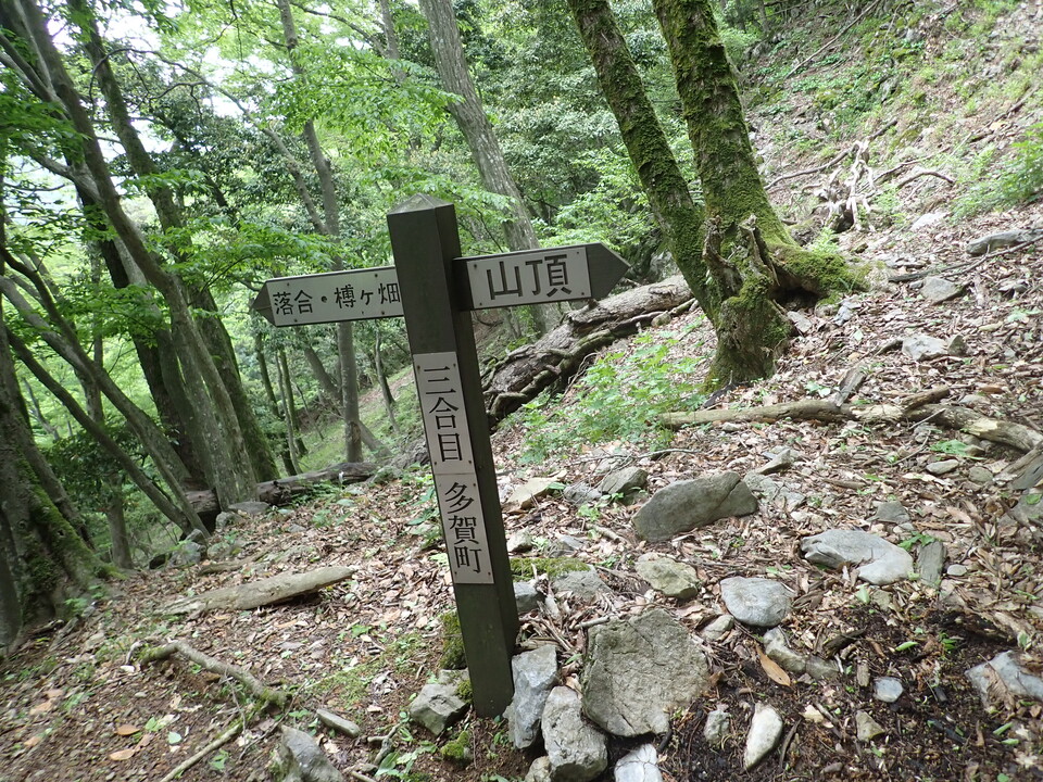 P5111176_mid.jpg