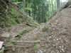 P5111187_thumb.png