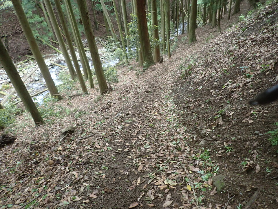 P5111195_mid.jpg