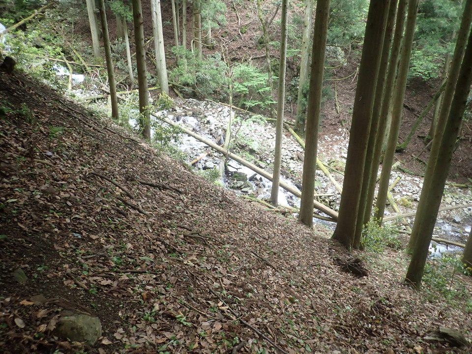 P5111196_mid.jpg