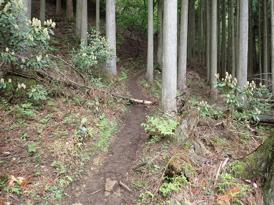 P5111201_mid.jpg