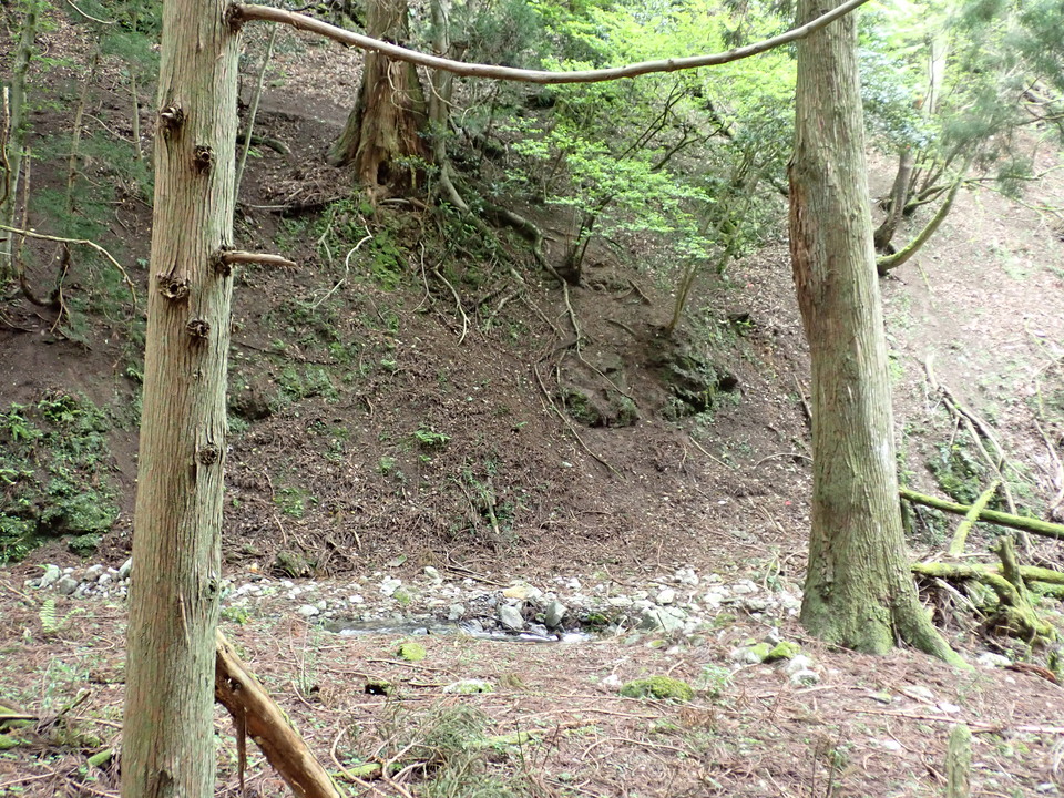 P5111208_mid.jpg